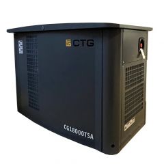 Газовый генератор CTG CG18000SA с АВР